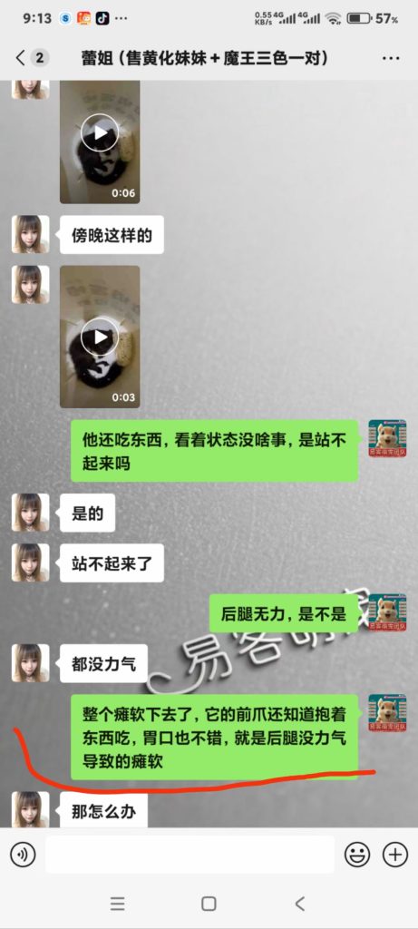 图片[11]-红腹松鼠专用鼠粮（预防缺钙瘫痪）-易客萌宠官方网站