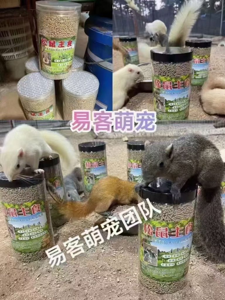 图片[1]-红腹松鼠专用鼠粮（预防缺钙瘫痪）-易客萌宠官方网站