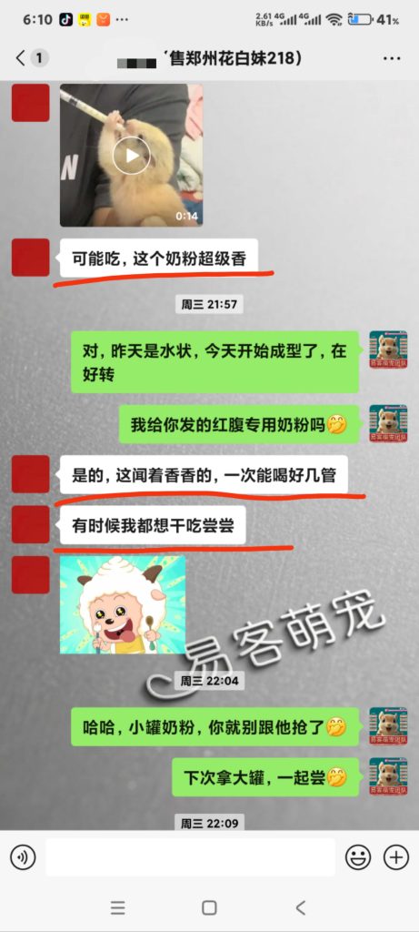 图片[5]-红腹松鼠专用奶粉-易客萌宠官方网站