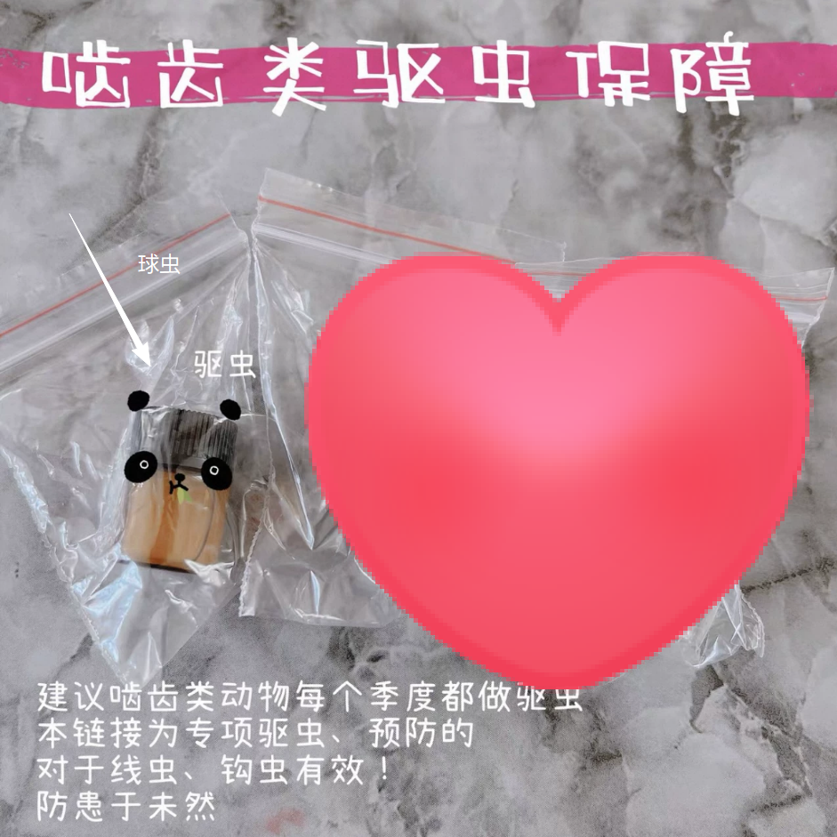 图片[9]-驱虫组合套餐-易客萌宠官方网站