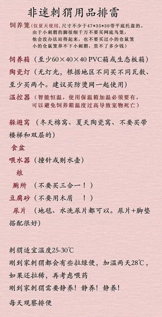 图片[2]-非洲迷你刺猬饲养攻略-易客萌宠官方网站
